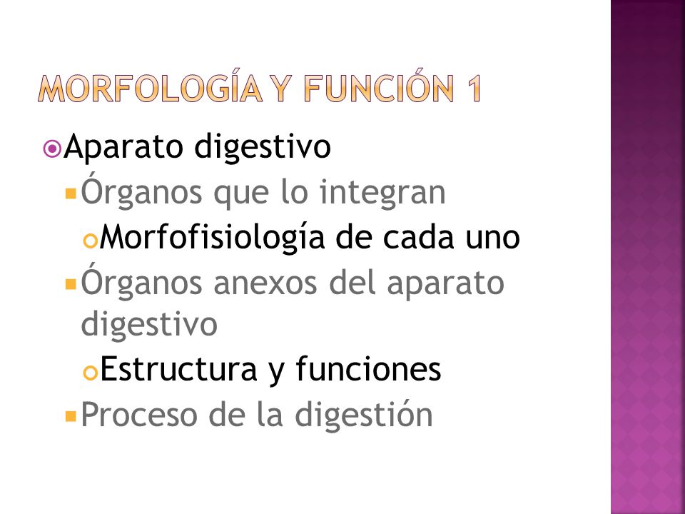 Morfología y función 1 Aparato digestivo Órganos que lo integran
