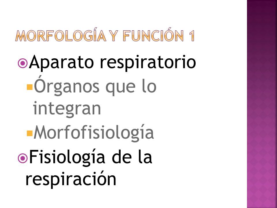 Órganos que lo integran Morfofisiología Fisiología de la respiración