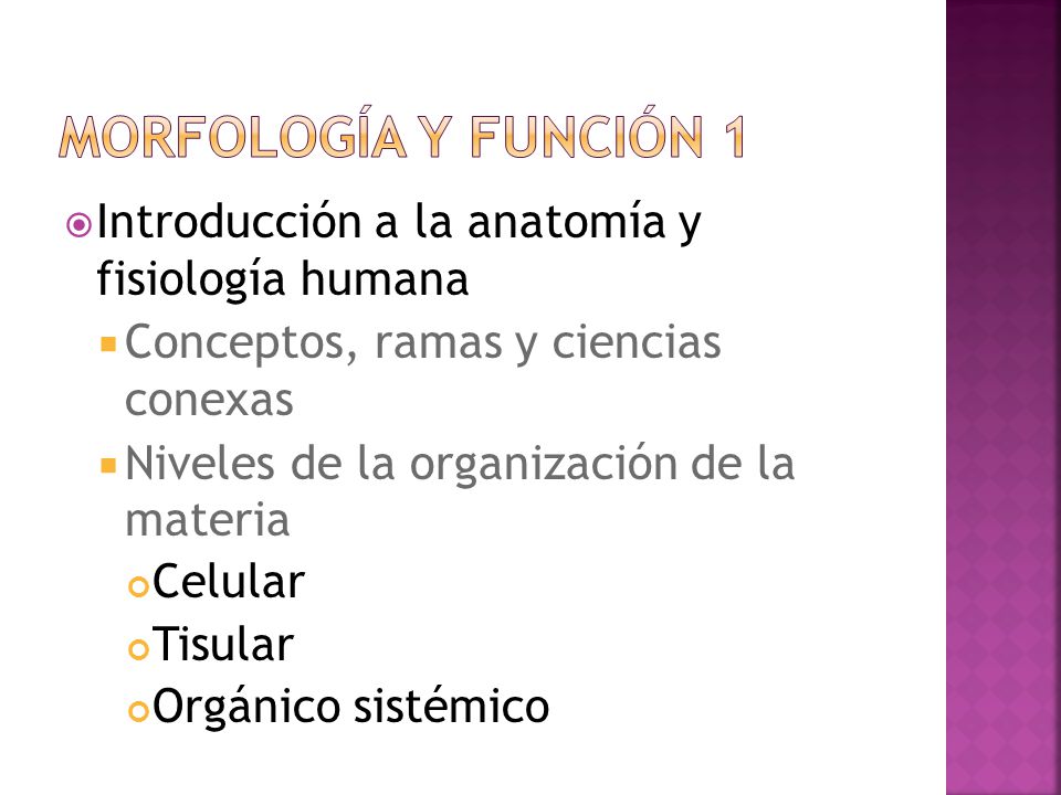Morfología y función 1 Introducción a la anatomía y fisiología humana