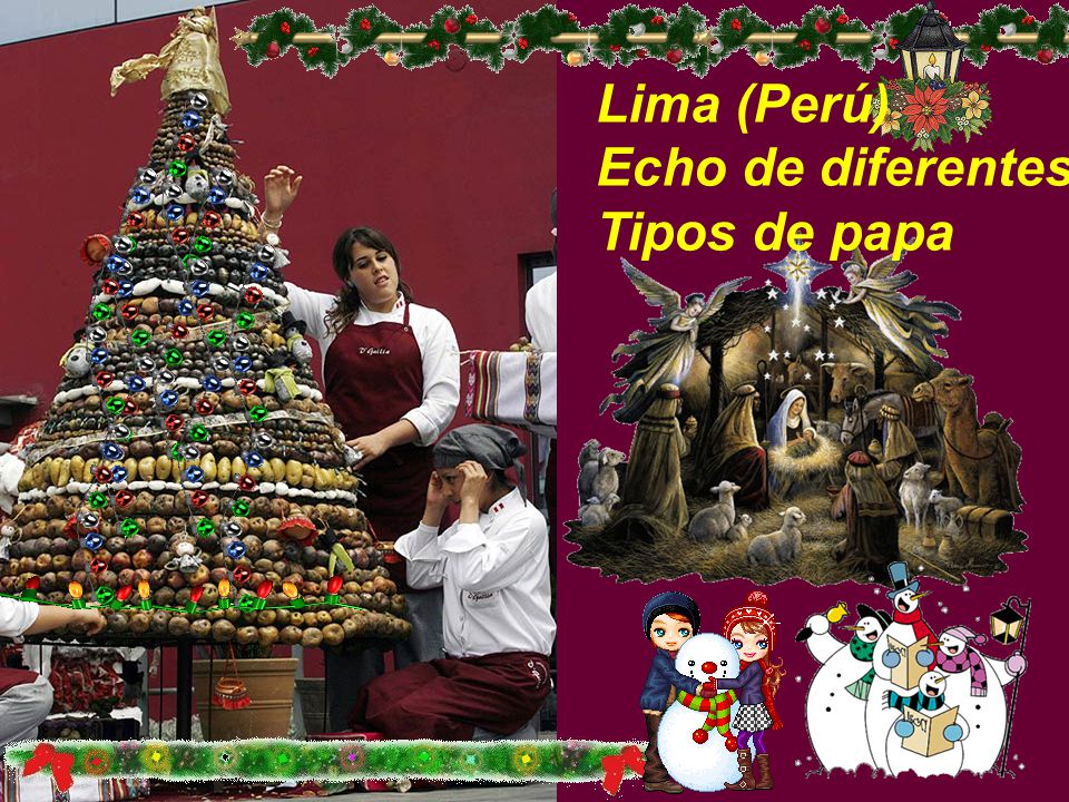 Lima (Perú) Echo de diferentes Tipos de papa