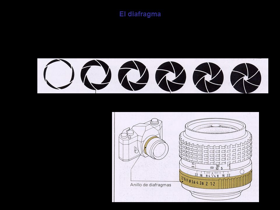 El diafragma Regula la cantidad de luz que penetra en la cámara para impresionar la película. Se sitúa en el objetivo.