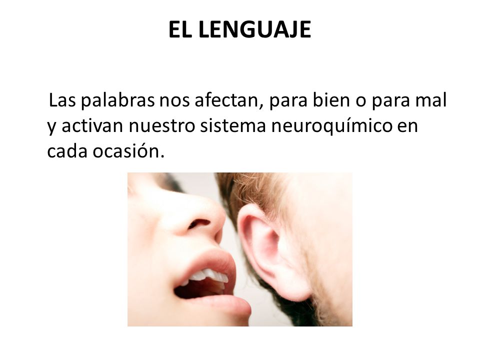 EL LENGUAJE Las palabras nos afectan, para bien o para mal y activan nuestro sistema neuroquímico en cada ocasión.