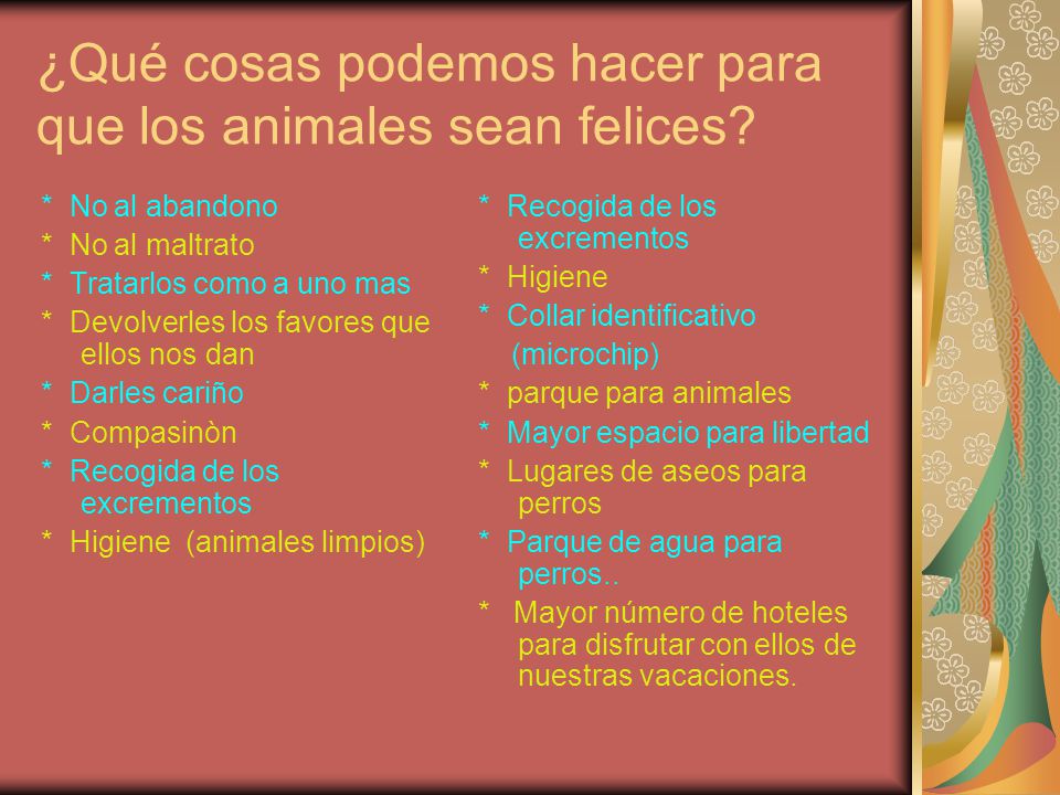 ¿Qué cosas podemos hacer para que los animales sean felices