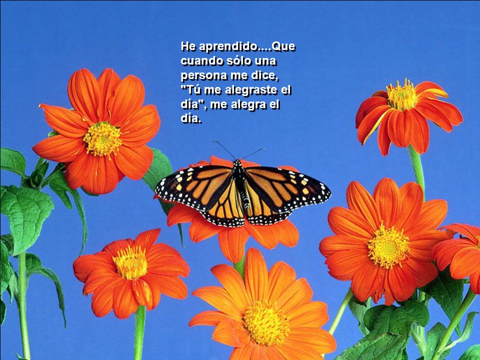 He aprendido....Que cuando sólo una persona me dice, Tú me alegraste el día , me alegra el día.