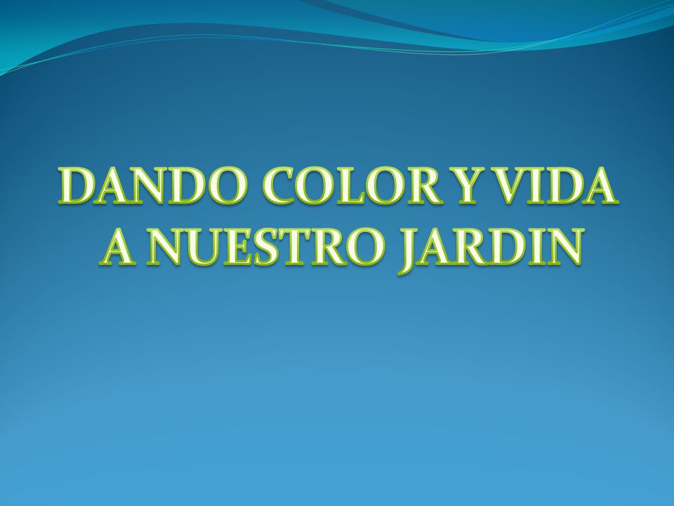 DANDO COLOR Y VIDA A NUESTRO JARDIN