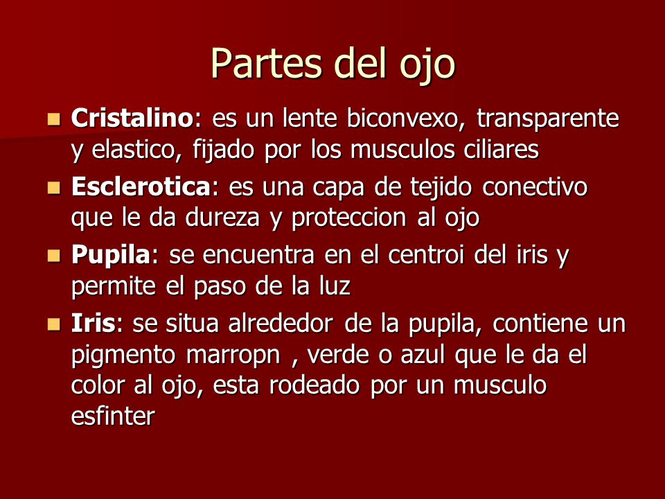 Partes del ojo Cristalino: es un lente biconvexo, transparente y elastico, fijado por los musculos ciliares.