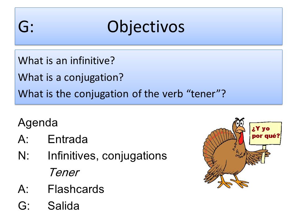 G: Objectivos What is an infinitive What is a conjugation What is the conjugation of the verb tener