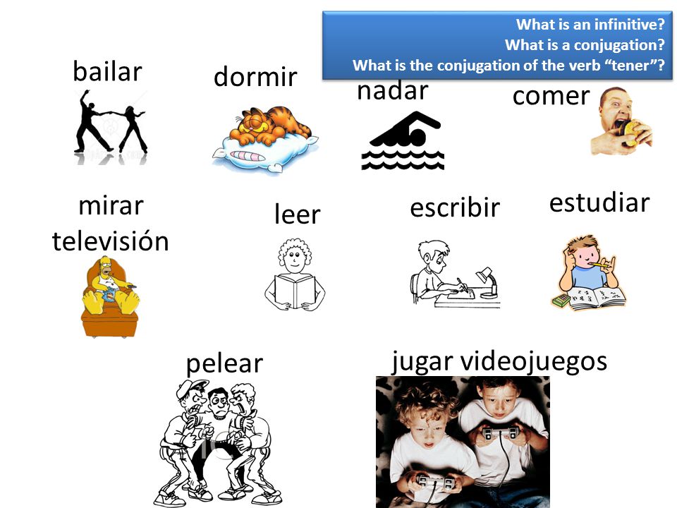 bailar dormir nadar comer estudiar mirar escribir leer televisión