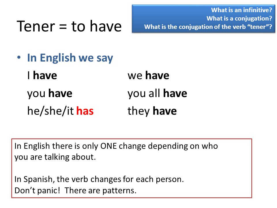 Tener = to have In English we say I have we have you have you all have