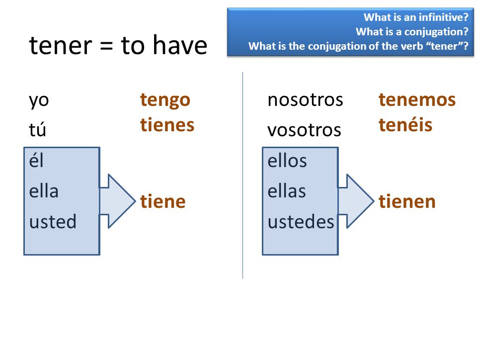 What is an infinitive What is a conjugation What is the conjugation of the verb tener tener = to have.