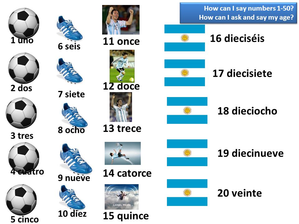 16 dieciséis 11 once 17 diecisiete 12 doce 18 dieciocho 13 trece