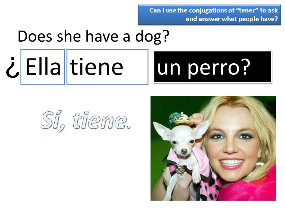 ¿ Ella tiene Sí, tiene. un perro Does she have a dog