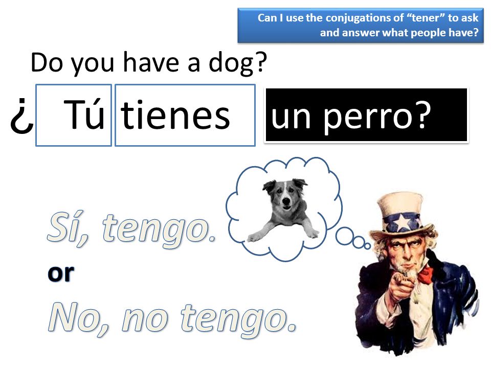 ¿ Tú tienes Sí, tengo. No, no tengo. un perro Do you have a dog or