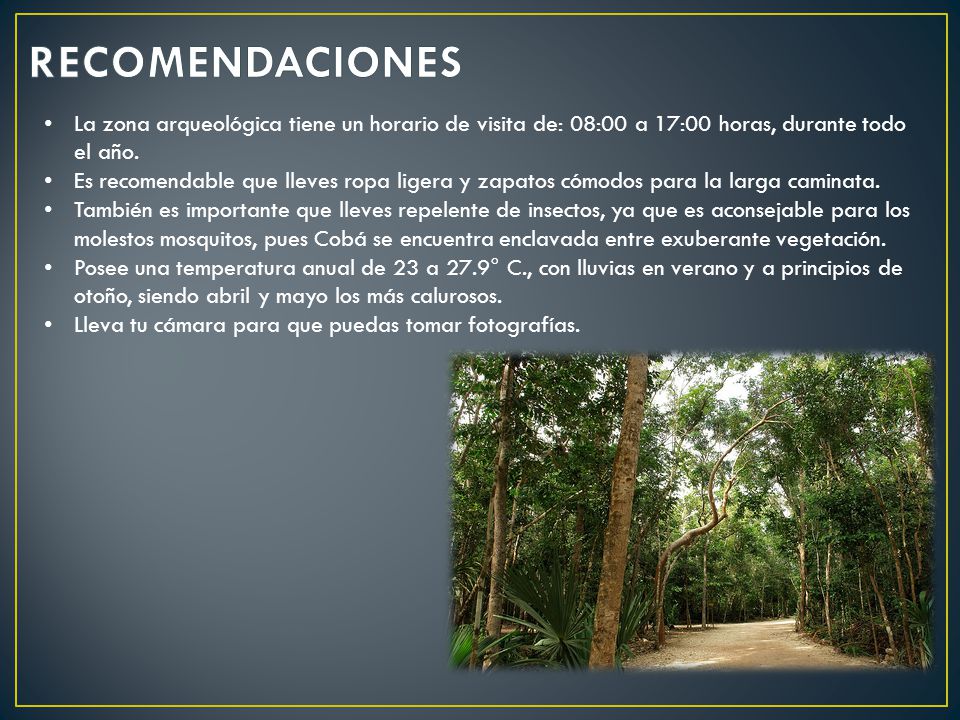 RECOMENDACIONES La zona arqueológica tiene un horario de visita de: 08:00 a 17:00 horas, durante todo el año.