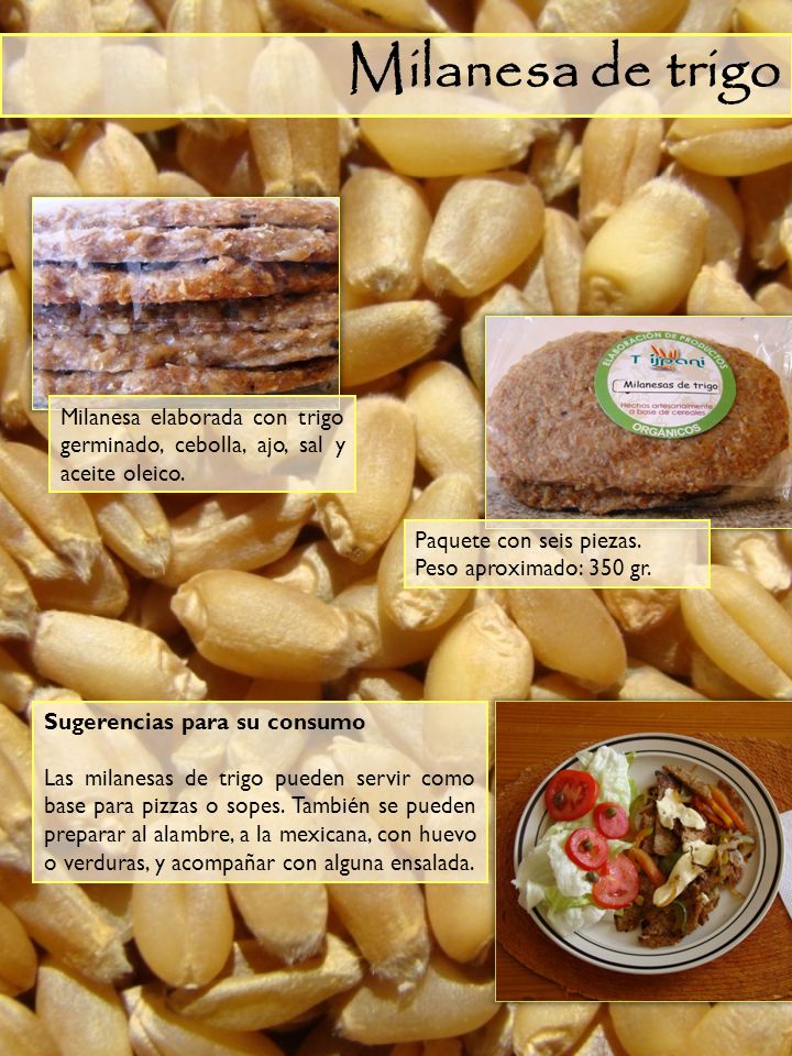Milanesa de trigo Milanesa elaborada con trigo germinado, cebolla, ajo, sal y aceite oleico. Paquete con seis piezas.