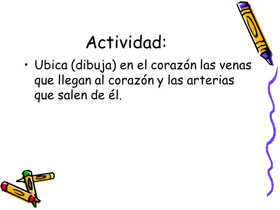 Actividad: Ubica (dibuja) en el corazón las venas que llegan al corazón y las arterias que salen de él.