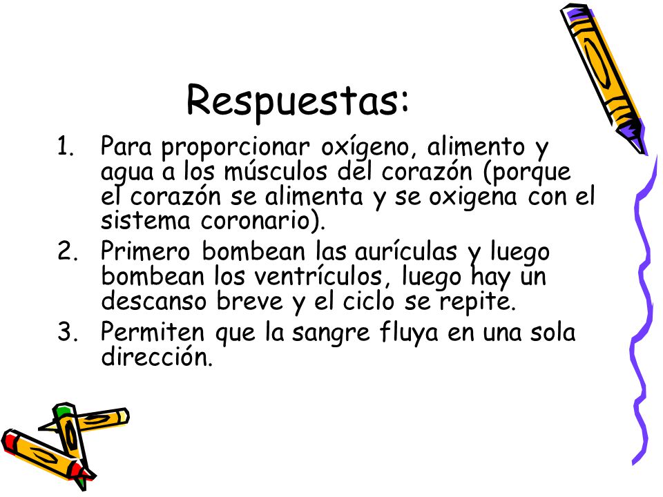 Como se alimentan los musculos