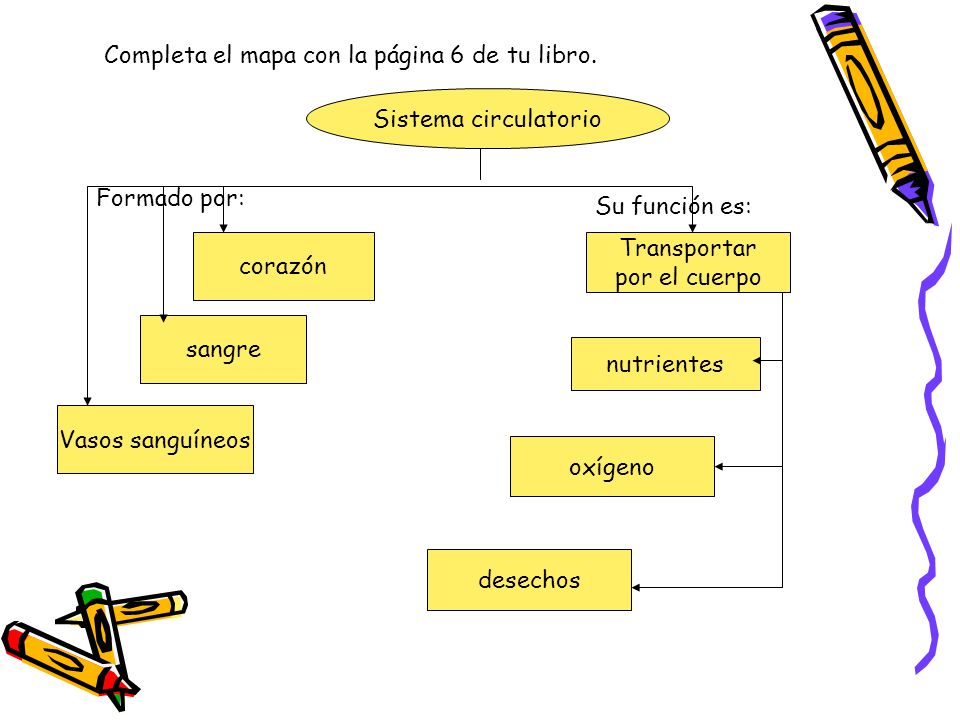 Completa el mapa con la página 6 de tu libro.