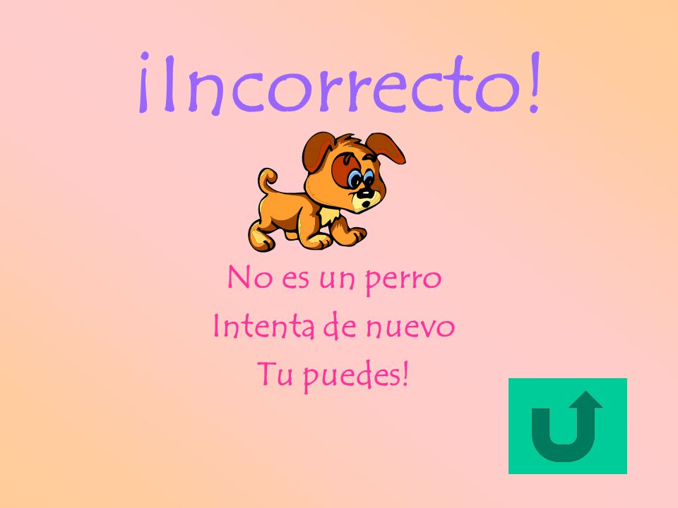¡Incorrecto! No es un perro Intenta de nuevo Tu puedes!