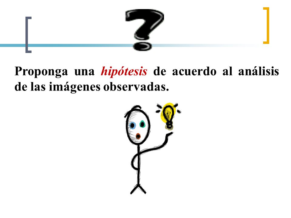 Proponga una hipótesis de acuerdo al análisis de las imágenes observadas.