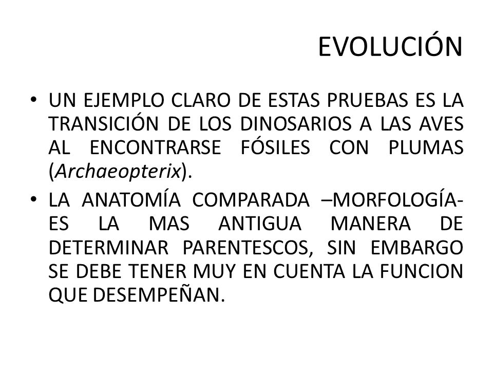 EVOLUCIÓN UN EJEMPLO CLARO DE ESTAS PRUEBAS ES LA TRANSICIÓN DE LOS DINOSARIOS A LAS AVES AL ENCONTRARSE FÓSILES CON PLUMAS (Archaeopterix).