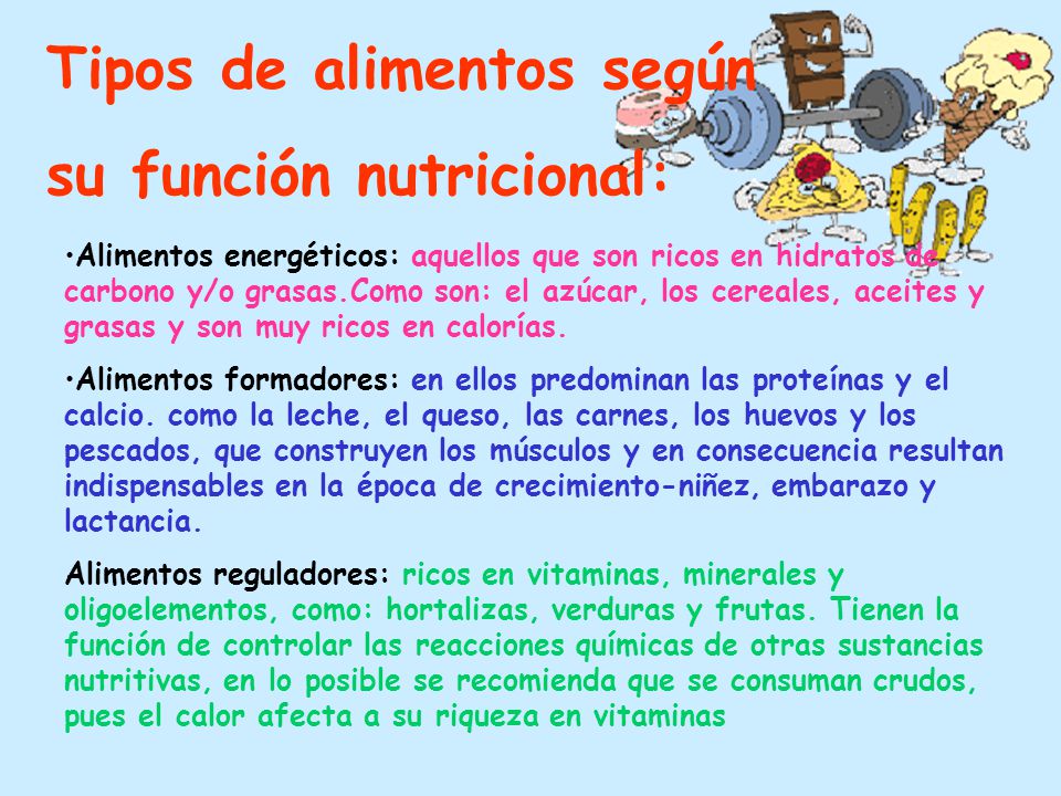 Tipos de alimentos según su función nutricional:
