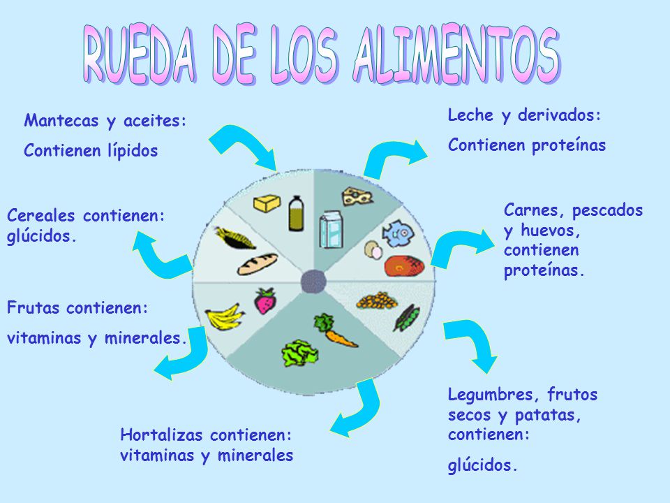 RUEDA DE LOS ALIMENTOS Leche y derivados: Mantecas y aceites: