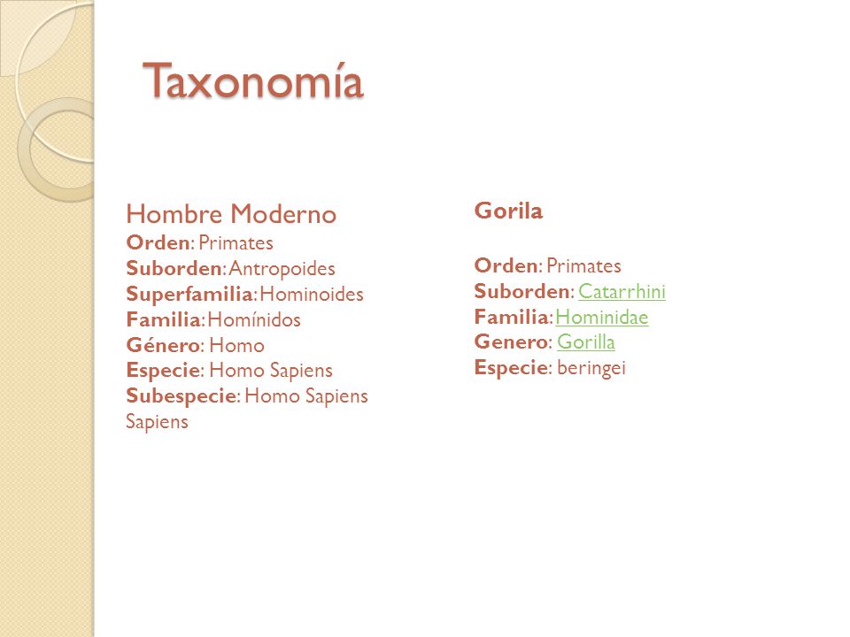Taxonomía Hombre Moderno Gorila Orden: Primates Suborden: Antropoides