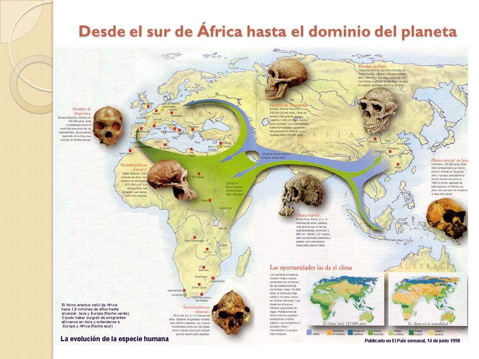 Desde el sur de África hasta el dominio del planeta