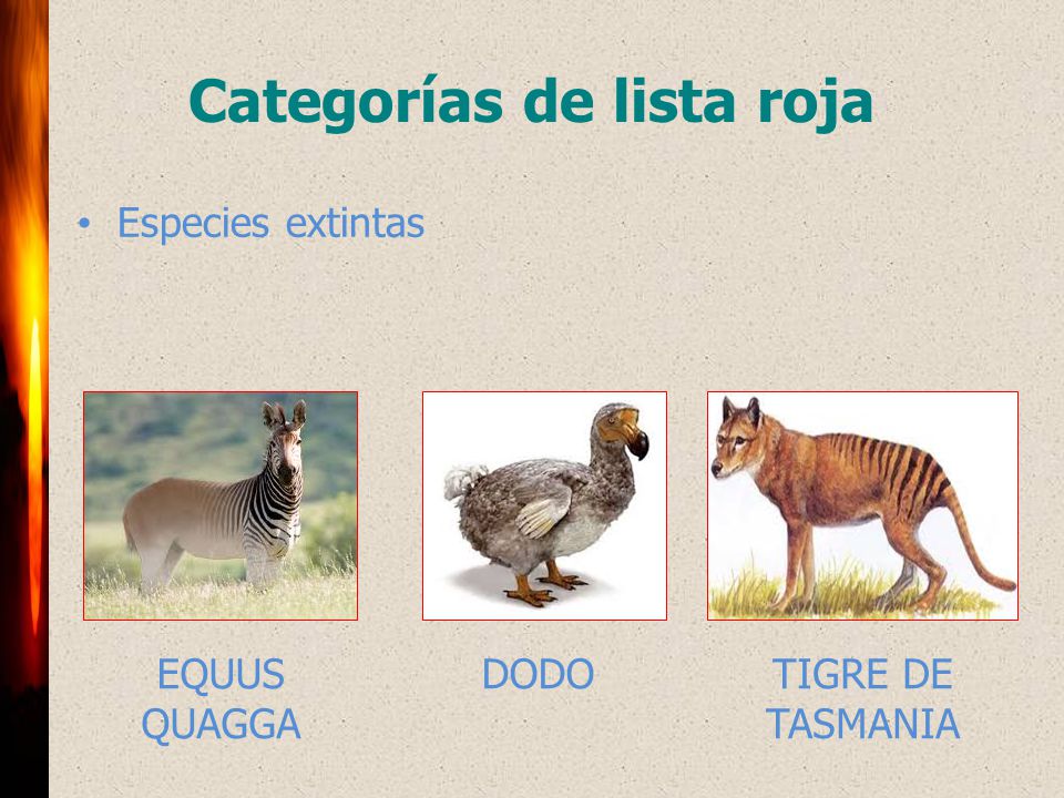 Categorías de lista roja