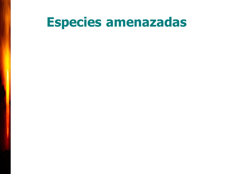 Especies amenazadas