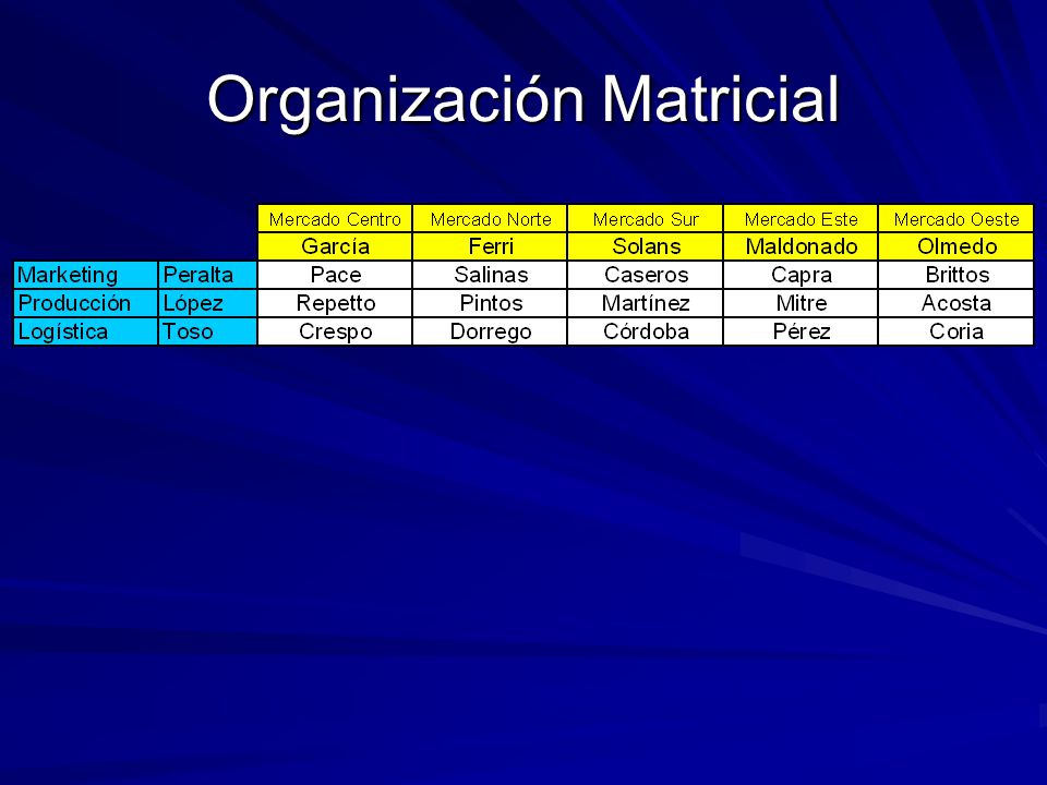 Organización Matricial