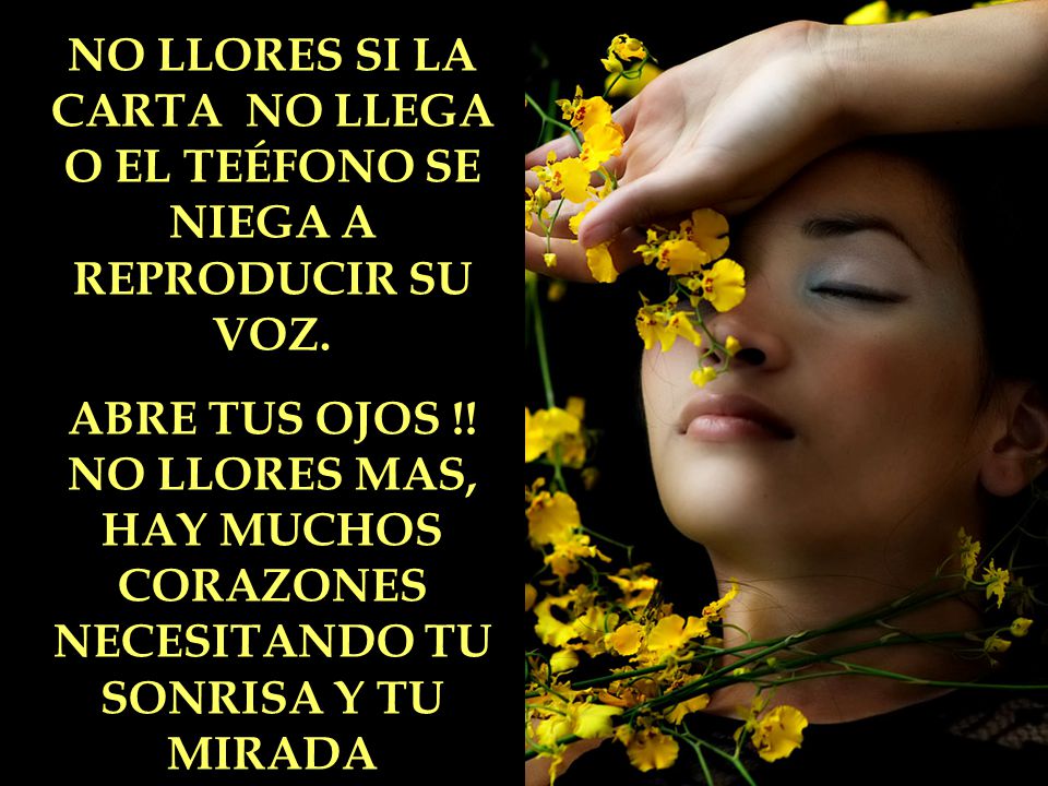 NO LLORES SI LA CARTA NO LLEGA O EL TEÉFONO SE NIEGA A REPRODUCIR SU VOZ.