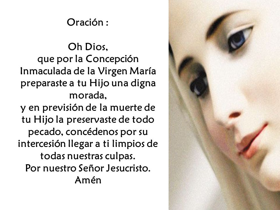 que por la Concepción Inmaculada de la Virgen María