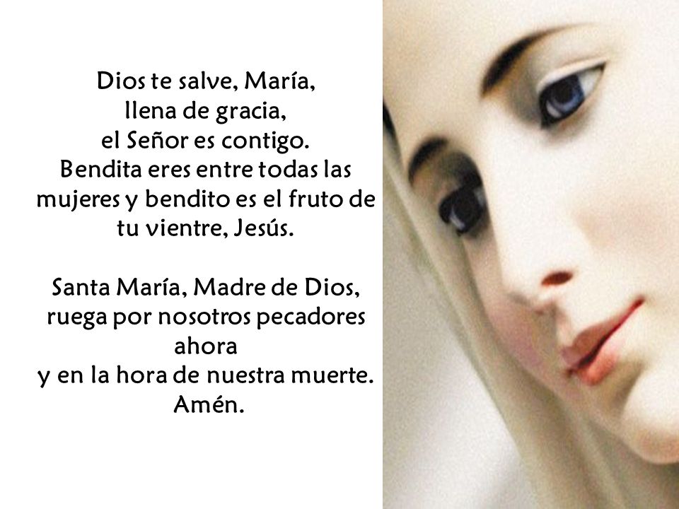 Santa María, Madre de Dios, ruega por nosotros pecadores ahora