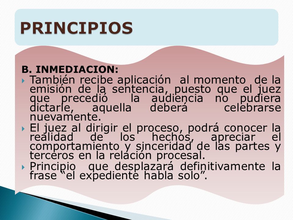 PRINCIPIOS B. INMEDIACION: