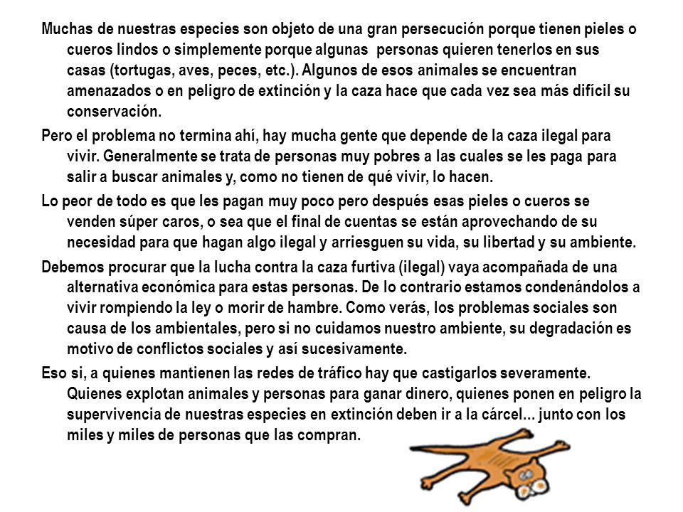 Muchas de nuestras especies son objeto de una gran persecución porque tienen pieles o cueros lindos o simplemente porque algunas personas quieren tenerlos en sus casas (tortugas, aves, peces, etc.). Algunos de esos animales se encuentran amenazados o en peligro de extinción y la caza hace que cada vez sea más difícil su conservación.
