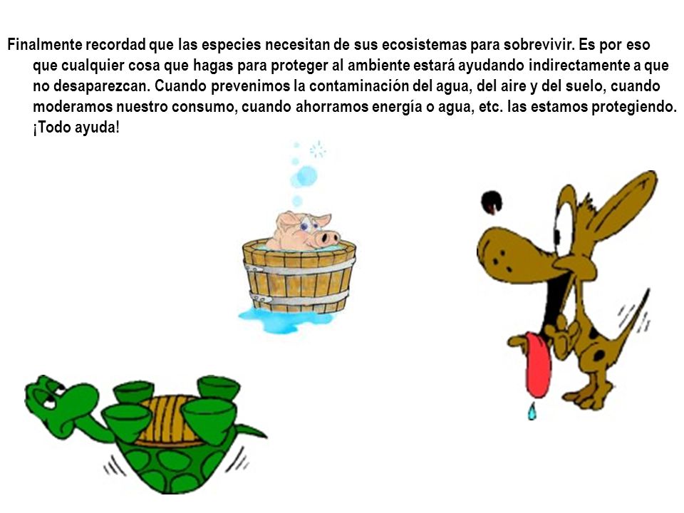 Finalmente recordad que las especies necesitan de sus ecosistemas para sobrevivir.