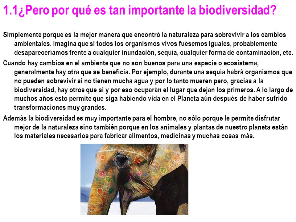 1.1¿Pero por qué es tan importante la biodiversidad