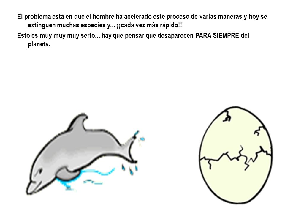 El problema está en que el hombre ha acelerado este proceso de varias maneras y hoy se extinguen muchas especies y... ¡¡cada vez más rápido!!