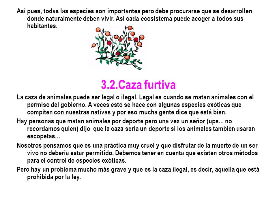 Así pues, todas las especies son importantes pero debe procurarse que se desarrollen donde naturalmente deben vivir. Así cada ecosistema puede acoger a todos sus habitantes.