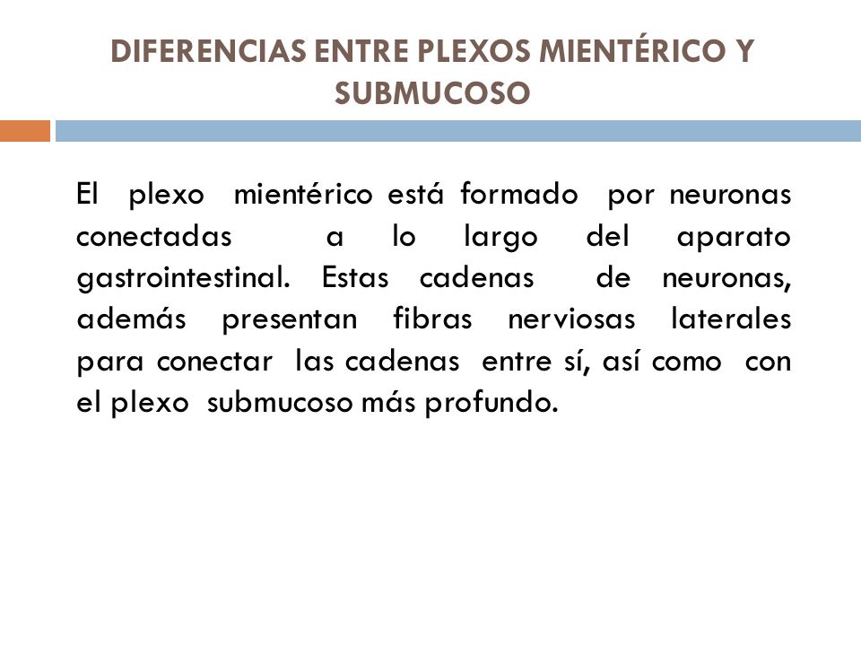 DIFERENCIAS ENTRE PLEXOS MIENTÉRICO Y SUBMUCOSO El plexo mientérico está formado por neuronas conectadas a lo largo del aparato gastrointestinal.