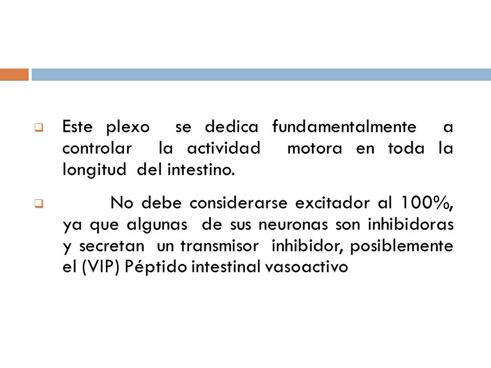 Este plexo se dedica fundamentalmente a controlar la actividad motora en toda la longitud del intestino.