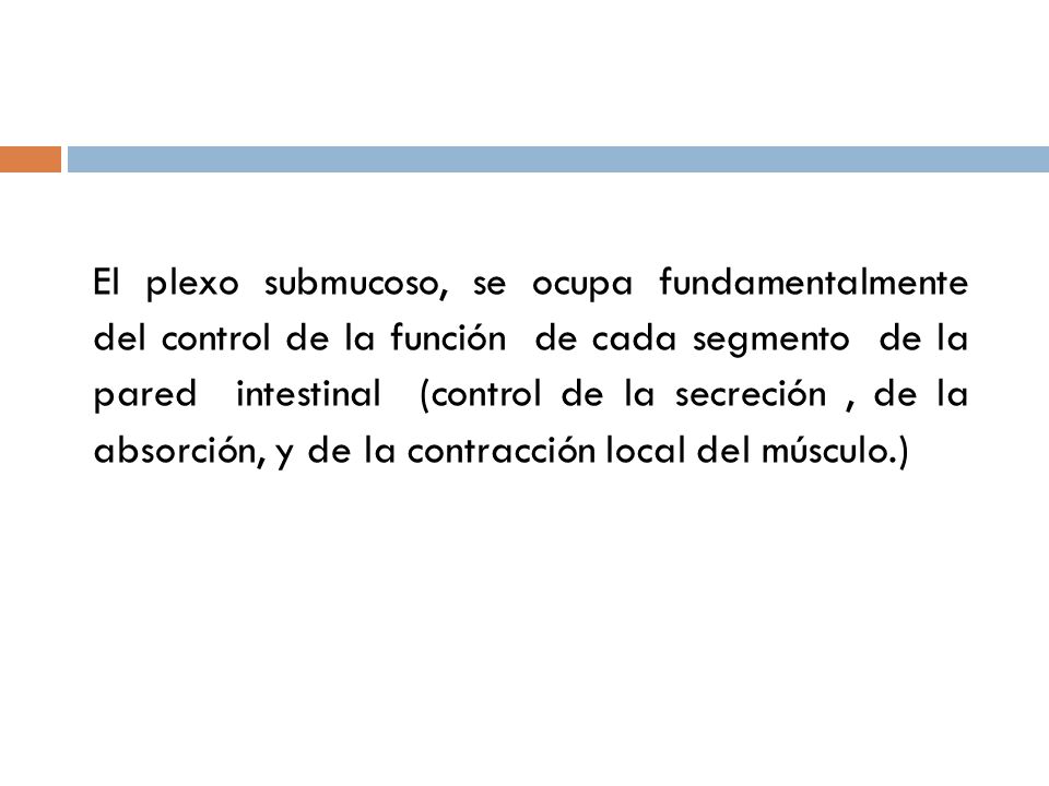 El plexo submucoso, se ocupa fundamentalmente del control de la función de cada segmento de la pared intestinal (control de la secreción , de la absorción, y de la contracción local del músculo.)