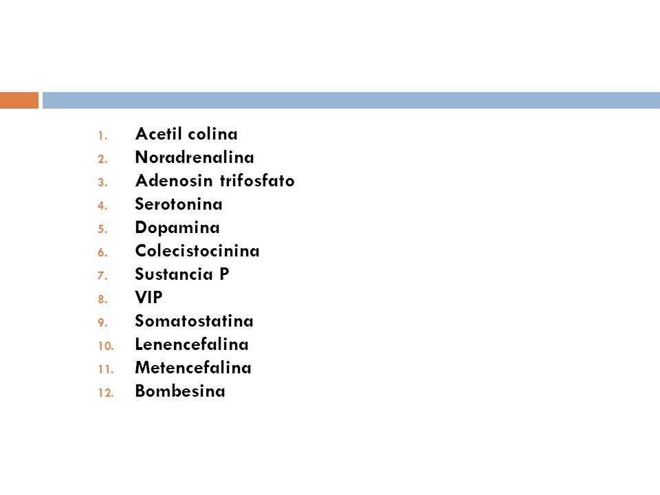 Acetil colina Noradrenalina. Adenosin trifosfato. Serotonina. Dopamina. Colecistocinina. Sustancia P.