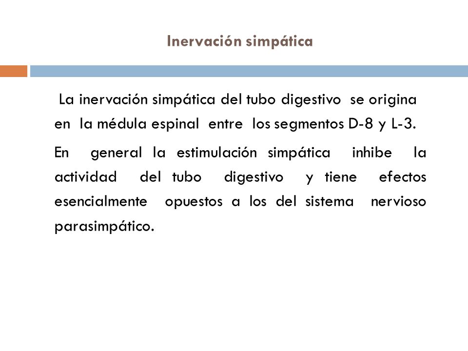 Inervación simpática La inervación simpática del tubo digestivo se origina en la médula espinal entre los segmentos D-8 y L-3.