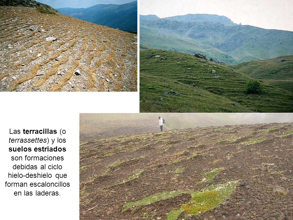Las terracillas (o terrassettes) y los suelos estriados son formaciones debidas al ciclo hielo-deshielo que forman escaloncillos en las laderas.