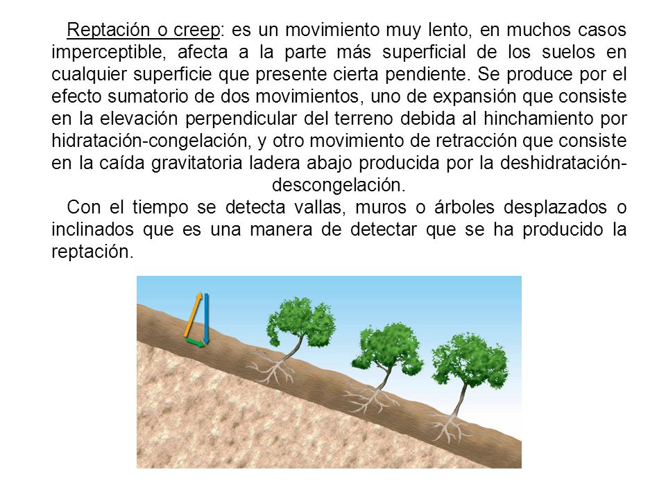 Reptación o creep: es un movimiento muy lento, en muchos casos imperceptible, afecta a la parte más superficial de los suelos en cualquier superficie que presente cierta pendiente.