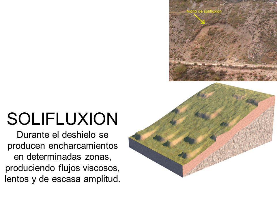 SOLIFLUXION Durante el deshielo se producen encharcamientos en determinadas zonas, produciendo flujos viscosos, lentos y de escasa amplitud.