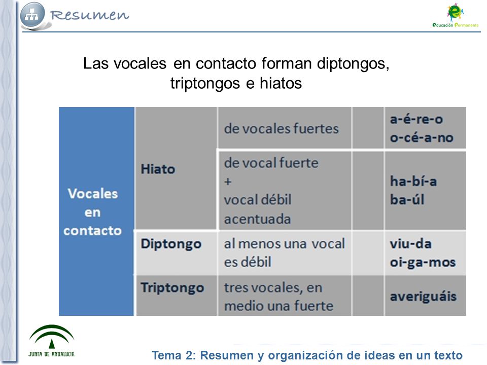 Las vocales en contacto forman diptongos, triptongos e hiatos